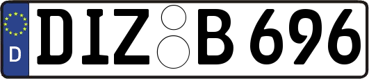 DIZ-B696