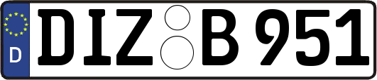 DIZ-B951
