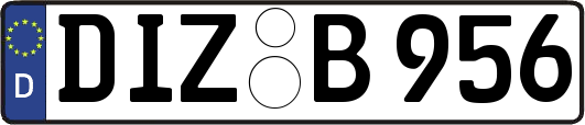 DIZ-B956