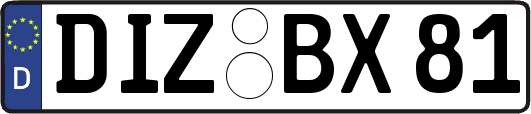 DIZ-BX81