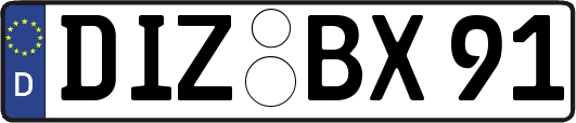 DIZ-BX91