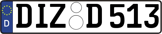 DIZ-D513