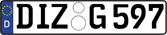 DIZ-G597