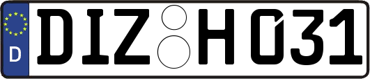 DIZ-H031