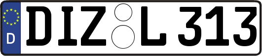 DIZ-L313