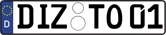 DIZ-TO01