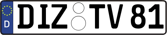 DIZ-TV81