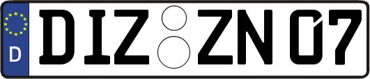 DIZ-ZN07