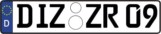 DIZ-ZR09