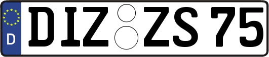 DIZ-ZS75
