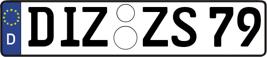 DIZ-ZS79