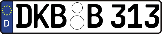 DKB-B313