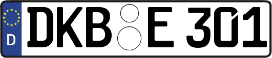 DKB-E301