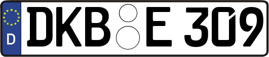 DKB-E309