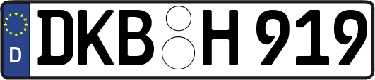 DKB-H919