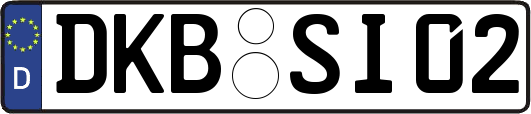 DKB-SI02