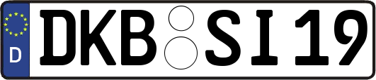 DKB-SI19