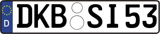 DKB-SI53