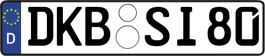 DKB-SI80