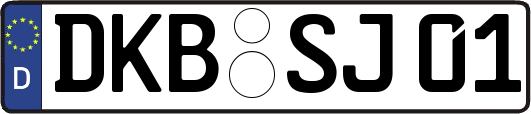 DKB-SJ01