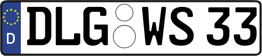 DLG-WS33