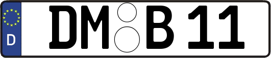 DM-B11