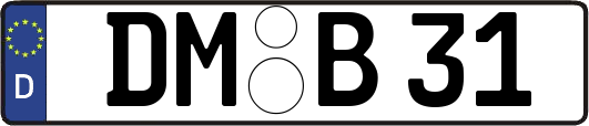 DM-B31