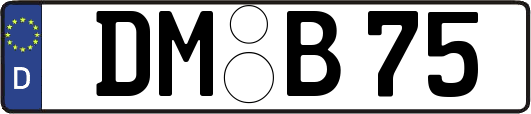DM-B75