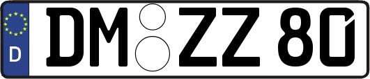 DM-ZZ80