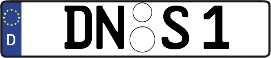 DN-S1