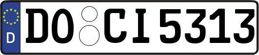 DO-CI5313
