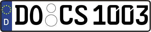 DO-CS1003