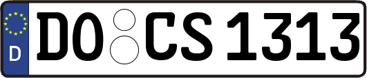 DO-CS1313