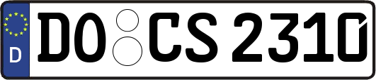 DO-CS2310