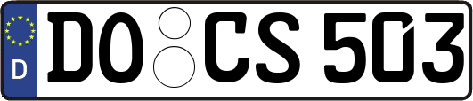 DO-CS503