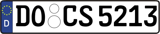 DO-CS5213