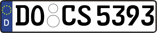 DO-CS5393