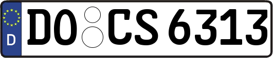 DO-CS6313