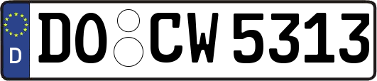 DO-CW5313