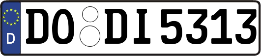 DO-DI5313