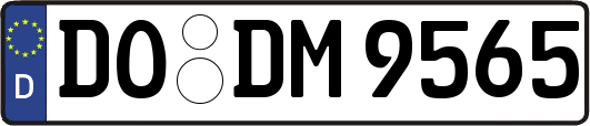 DO-DM9565