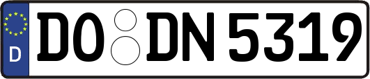 DO-DN5319