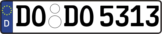 DO-DO5313
