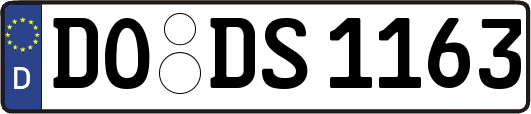 DO-DS1163