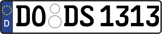 DO-DS1313