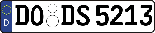 DO-DS5213