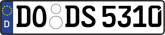 DO-DS5310