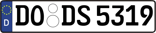 DO-DS5319