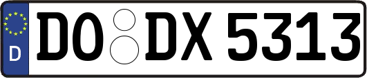 DO-DX5313