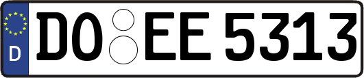 DO-EE5313